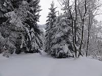  9. Dezember 2012 - Winter